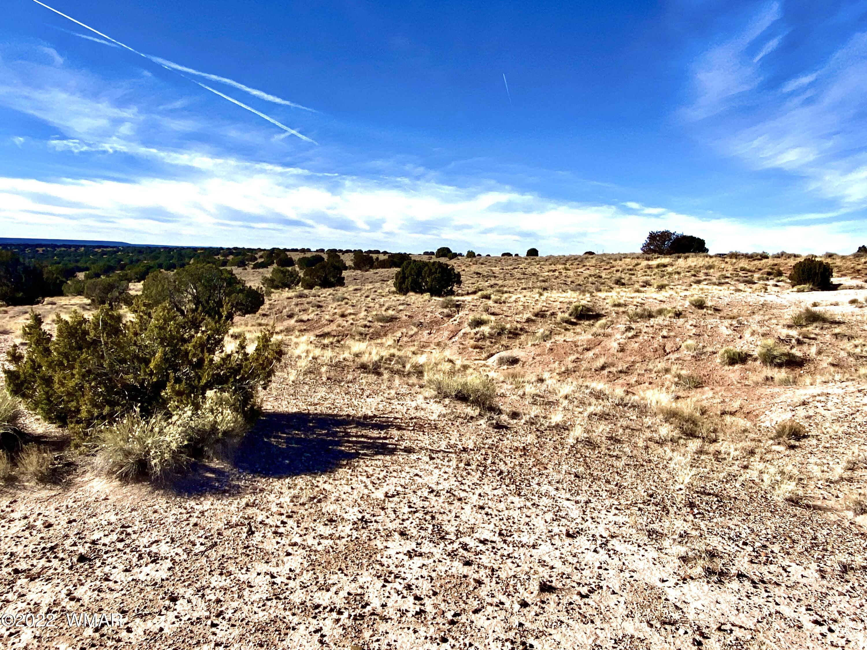River River Meadows Ranch Concho, AZ 85924 - Photo 9 of 11