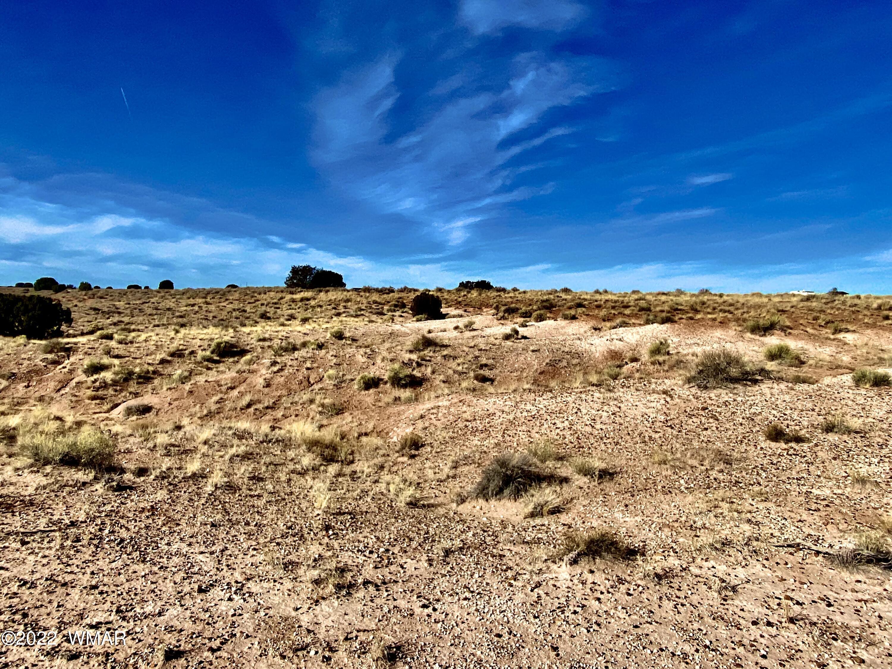 River River Meadows Ranch Concho, AZ 85924 - Photo 10 of 11