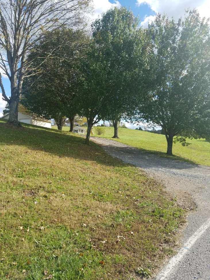 1344 Davis Chapel Road La Follette, TN 37766 - Photo 4 of 28 1344 davis chapel 2