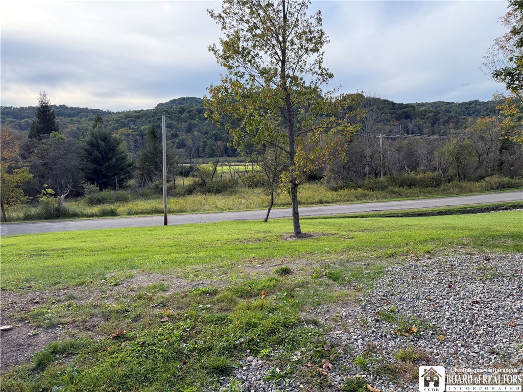 0 Creek Road Cuba, NY 14727 - Photo 22 of 25 Gallery Image 22