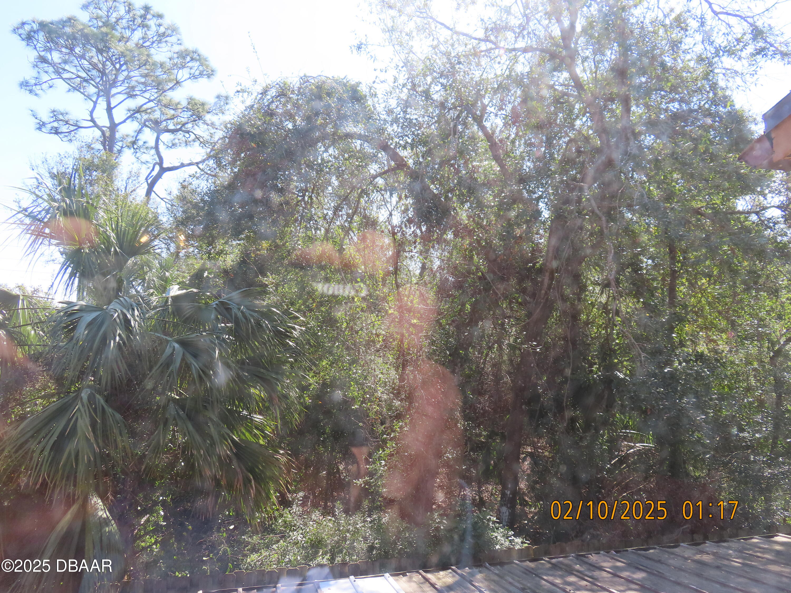 3 Little Pond Trail Ormond Beach, FL 32174 - Photo 39 of 39 IMG_2597