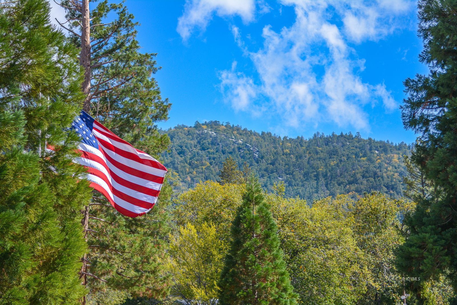 53545 Tollgate Road Idyllwild, CA 92549 - Photo 24 of 30 a front view of a house with a yard