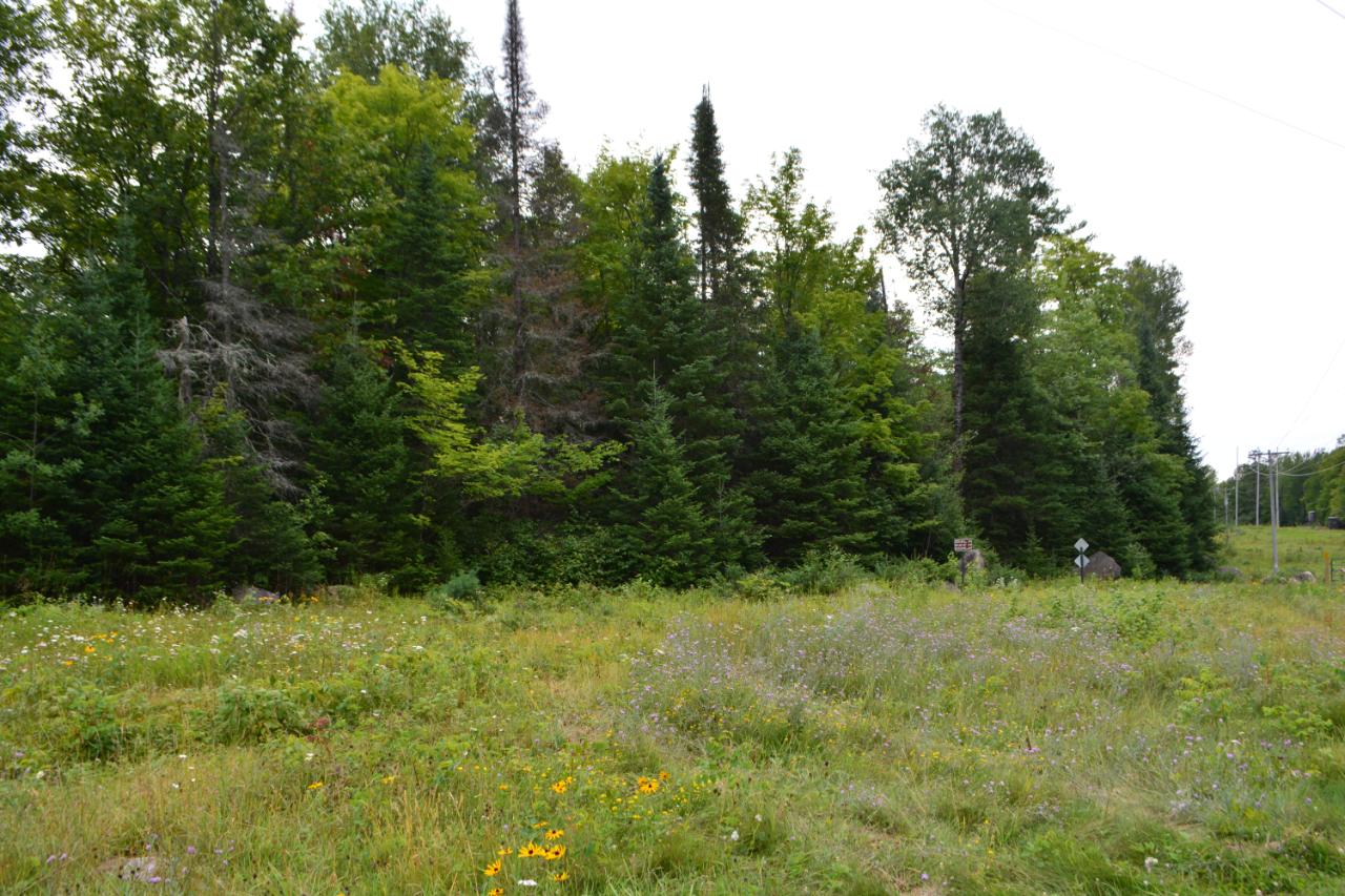 0 Cth Ff Mercer, WI 54547 - Photo 1 of 4 Gallery Image 1