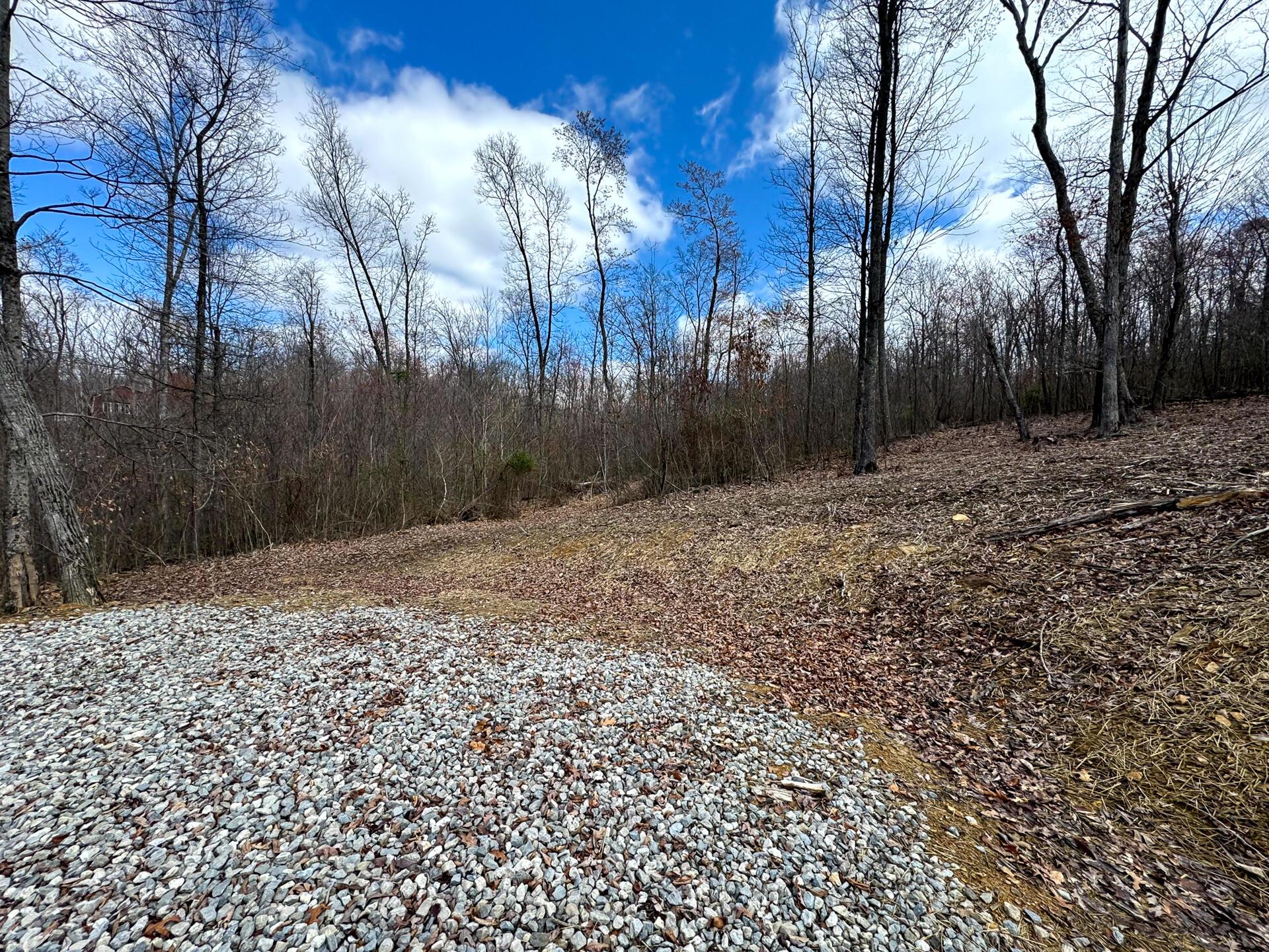 114 Golf Course Road, Unit TRACT 11 SKYLINE ACRES) Waverly, OH 45690 - Photo 8 of 37 CT-8