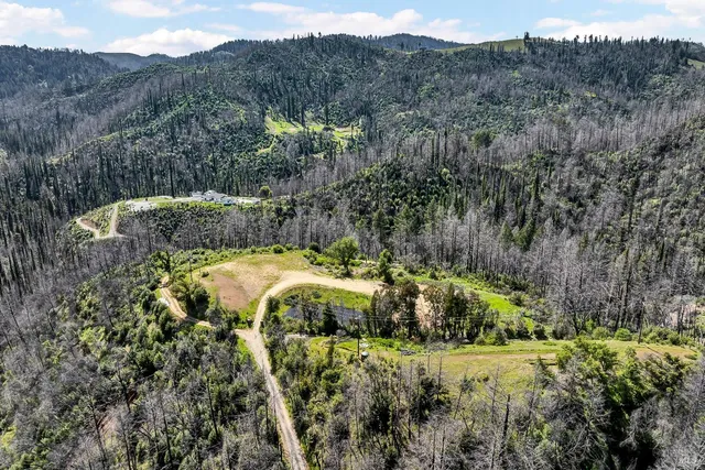 a view of a lush green forest with mountains in the background