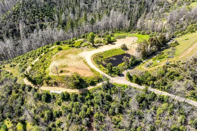 a view of yard with green space