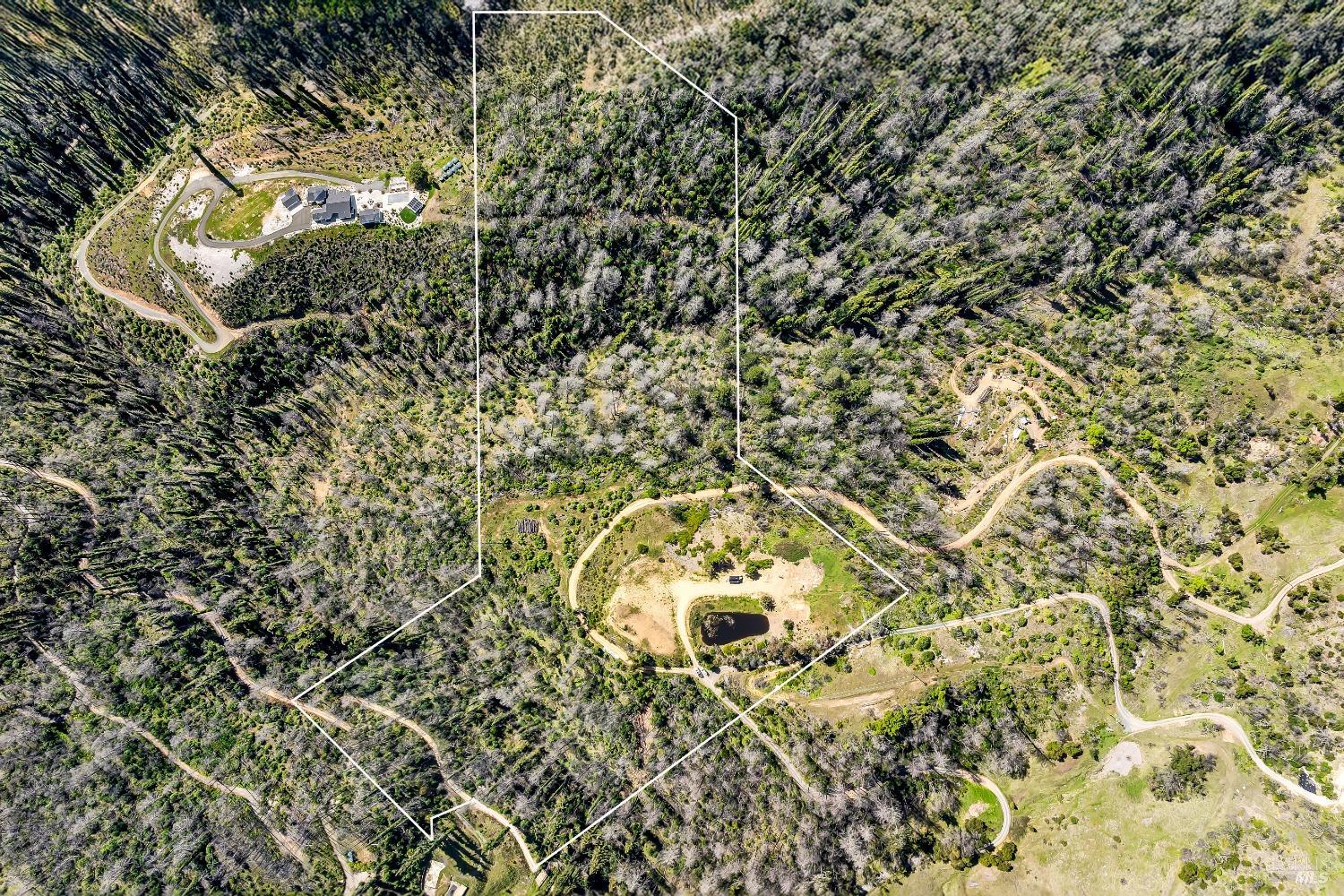 7777 Mill Creek Road Healdsburg, CA 95448 - Photo 7 of 18 a close up of a plant in a garden