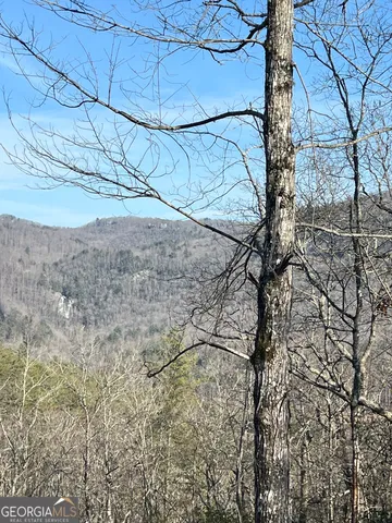 $72,500 | 0 Edwards Way, Unit LOT 0, Dillard, GA 30537