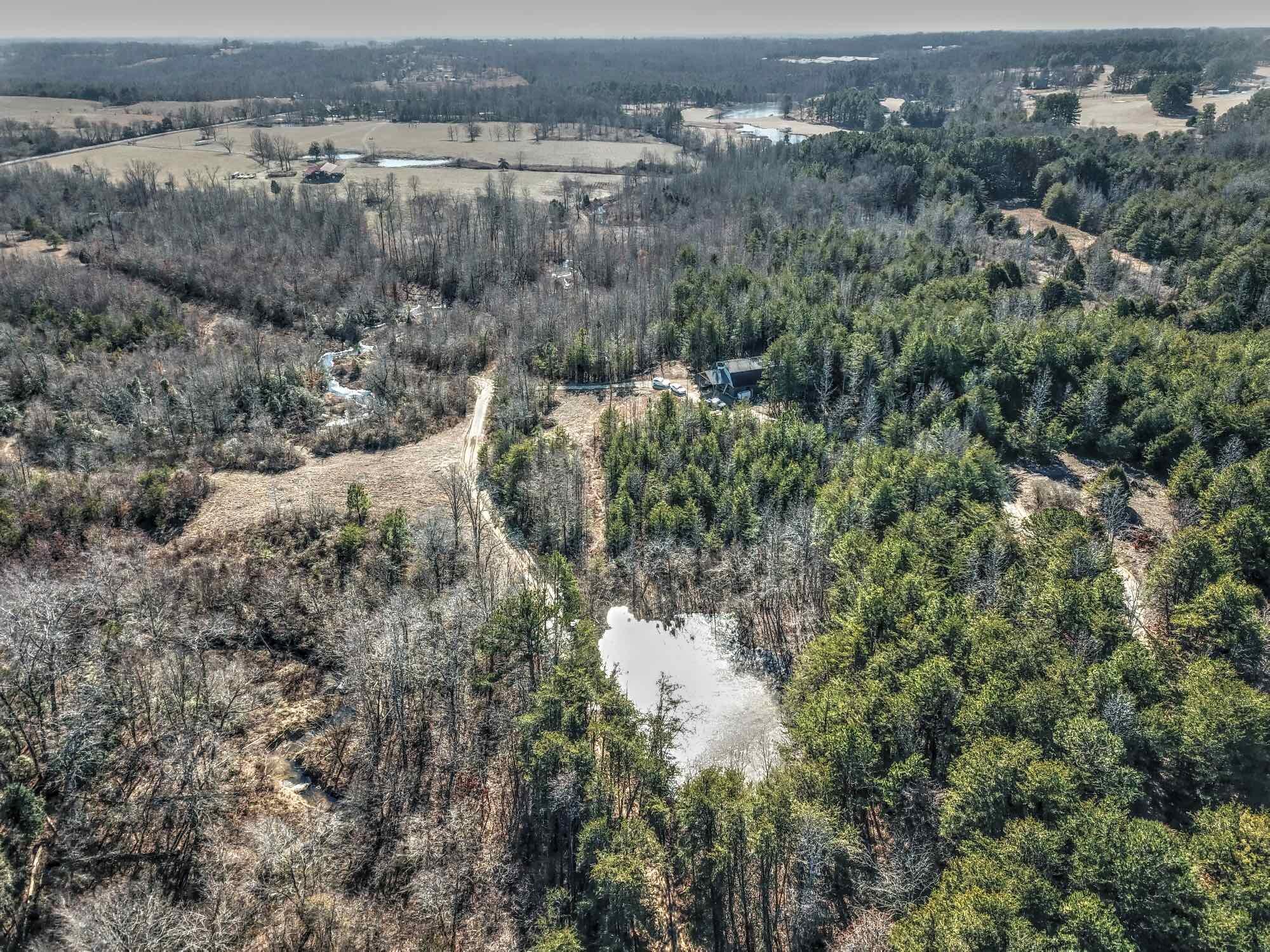 256 County Road 702 Flat Rock, AL 35966 - Photo 47 of 53 Drone48