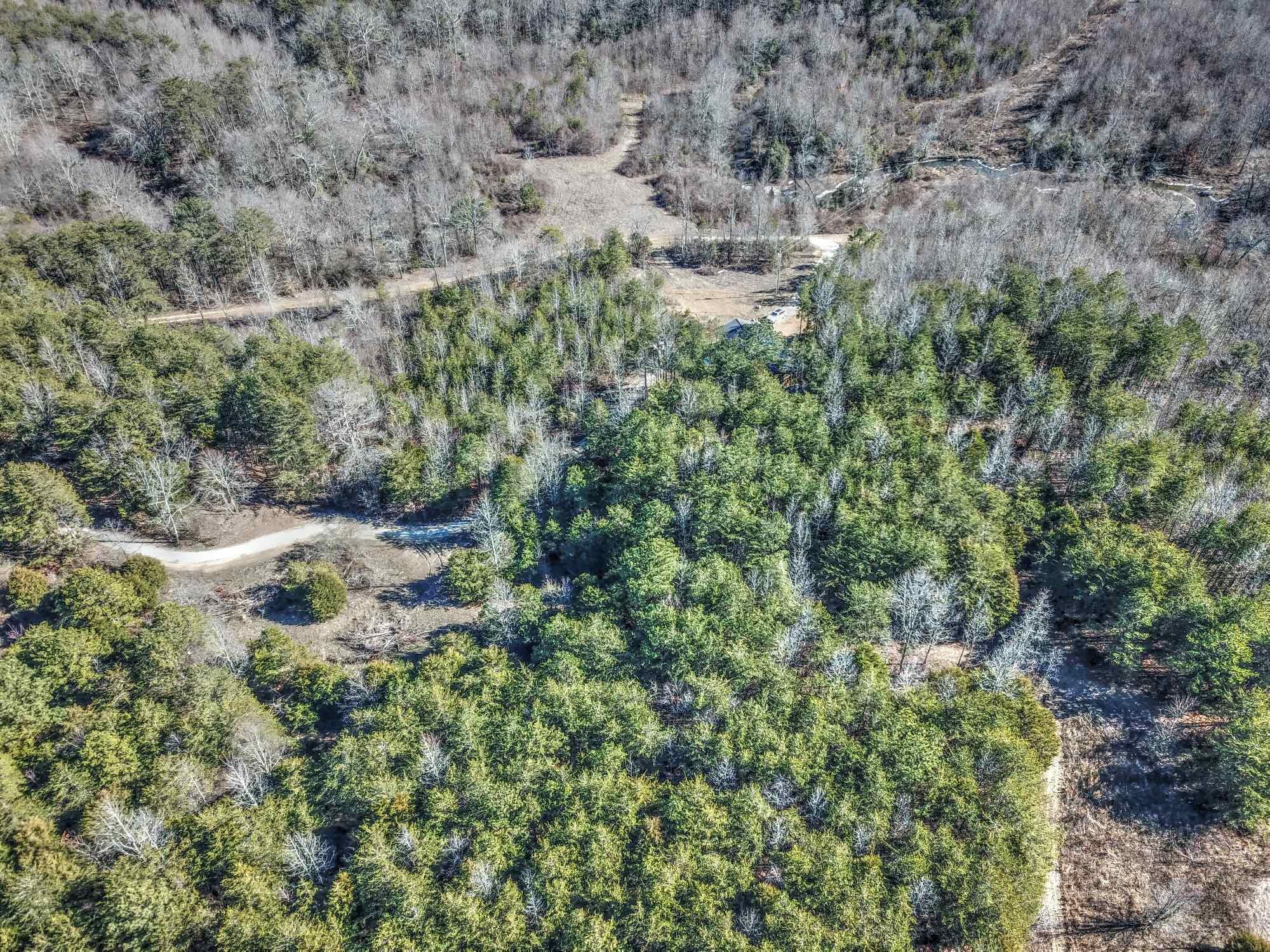 256 County Road 702 Flat Rock, AL 35966 - Photo 50 of 53 Drone51