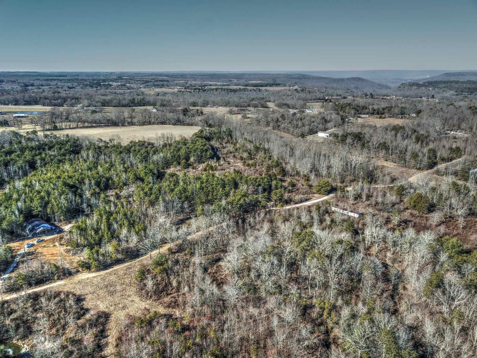 256 County Road 702 Flat Rock, AL 35966 - Photo 52 of 53 Drone53