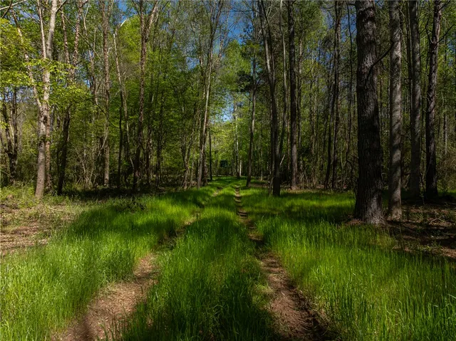 $1,650,000 | 110 Mill Pine Road, Liberty, SC 29657