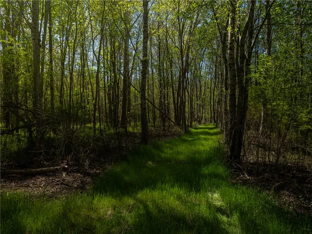 $1,650,000 | 110 Mill Pine Road, Liberty, SC 29657