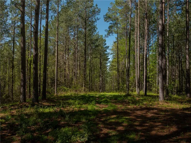 $1,650,000 | 110 Mill Pine Road, Liberty, SC 29657