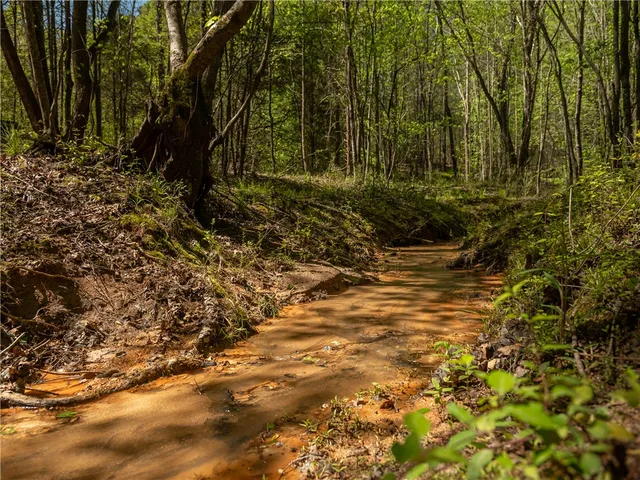 $1,650,000 | 110 Mill Pine Road, Liberty, SC 29657