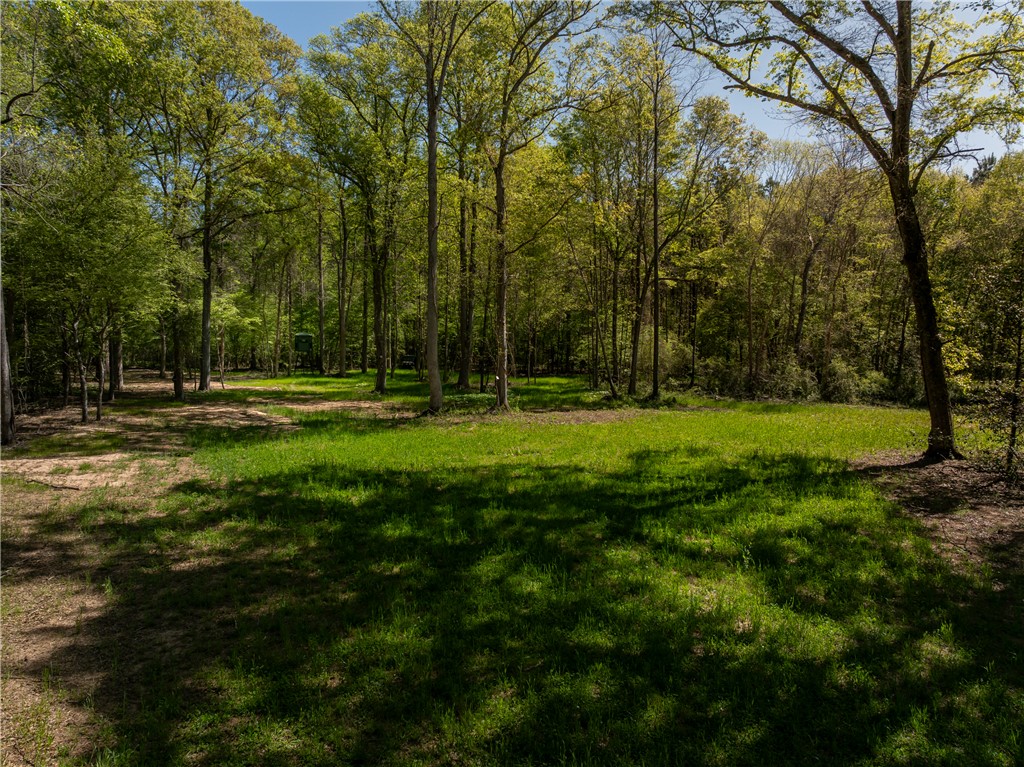 110 Mill Pine Road Liberty, SC 29657 - Photo 3 of 22 Gallery Image 3