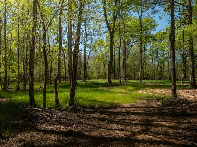 $1,650,000 | 110 Mill Pine Road, Liberty, SC 29657