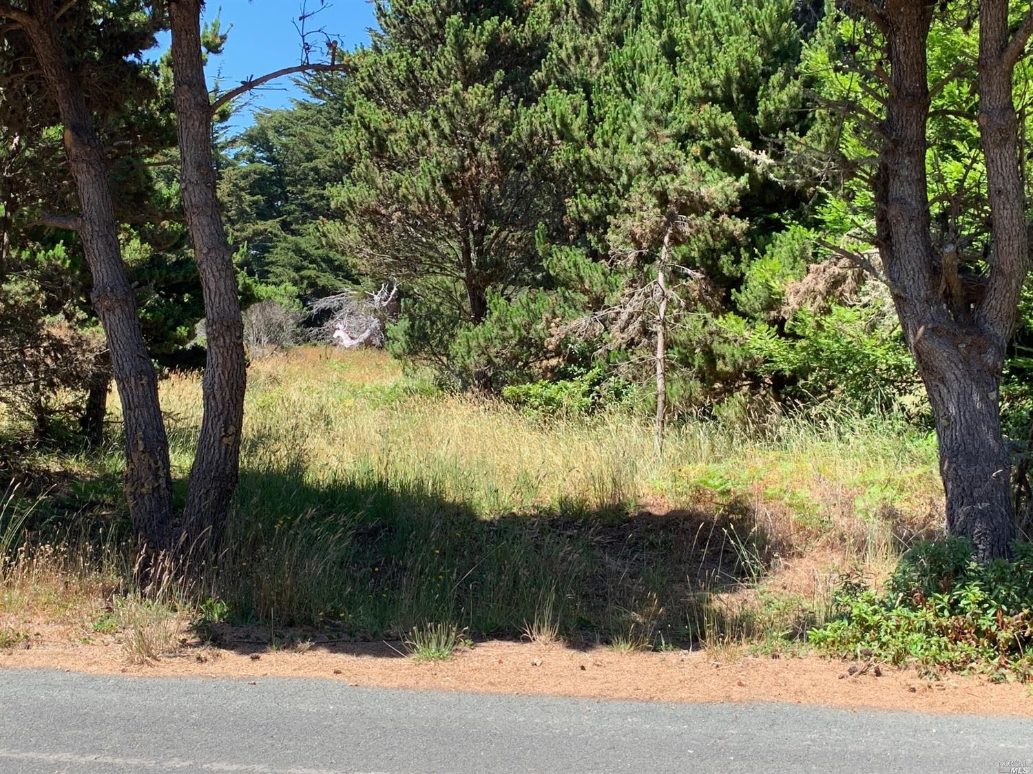 45360 Duxbury Road Manchester, CA 95459 - Photo 1 of 1 a view of lake from a yard