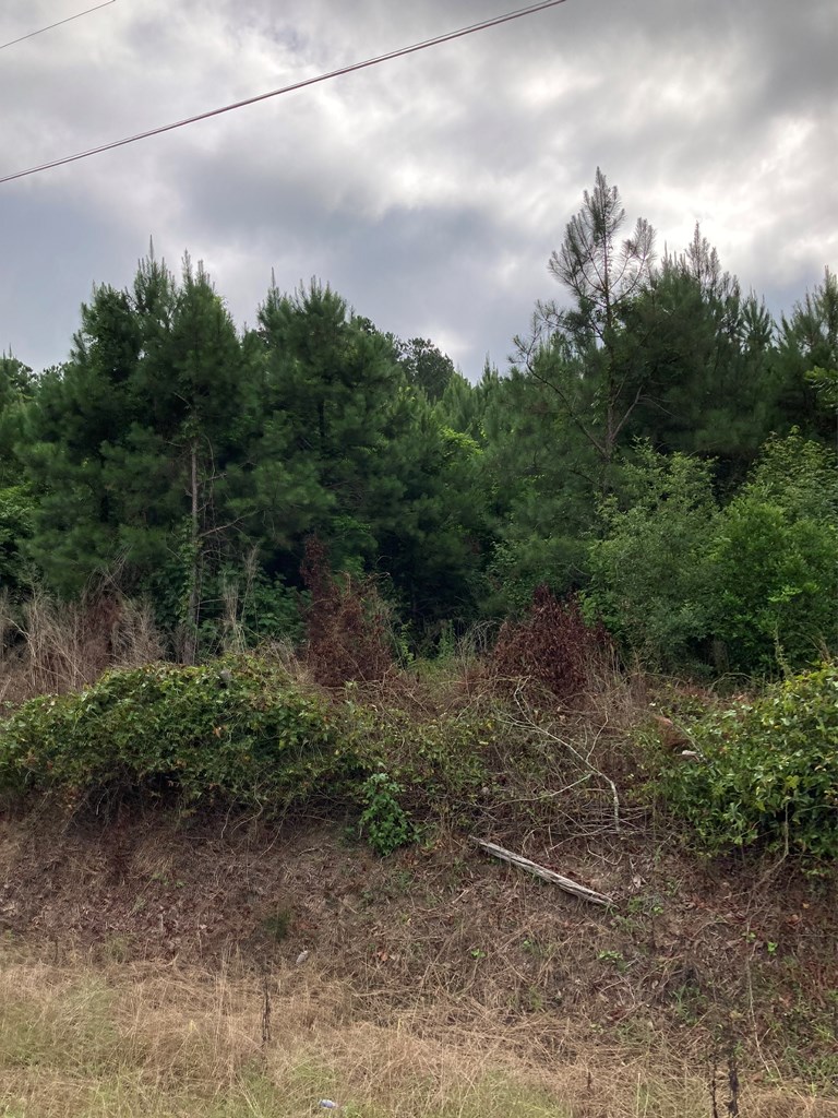0 Willie Varnum Road Dothan, AL 36301 - Photo 7 of 8