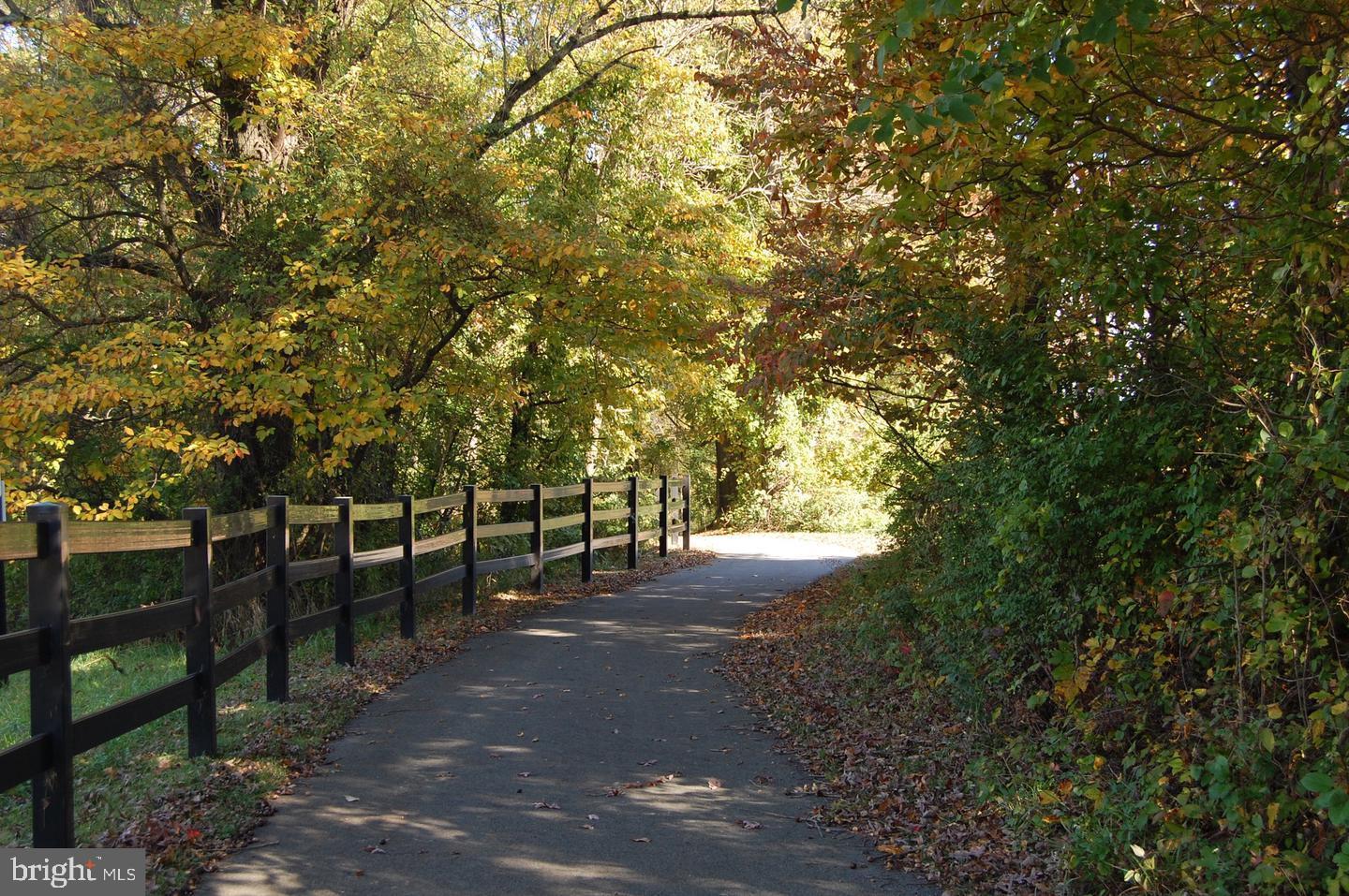 31 Par Lane Downingtown, PA 19335 - Photo 37 of 37 a view of a forest with trees