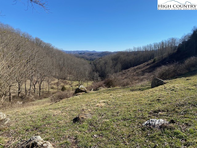 Henson Branch Road Vilas, NC 28692 - Photo 1 of 37 Gallery Image 1