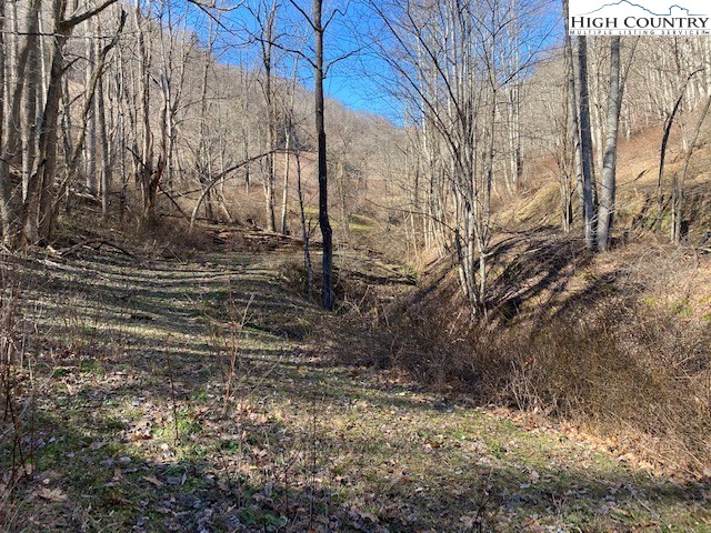 Henson Branch Road Vilas, NC 28692 - Photo 11 of 37 Gallery Image 11