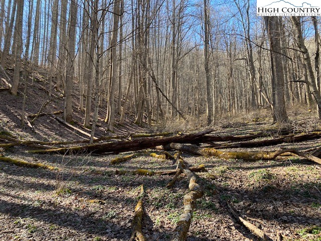 Henson Branch Road Vilas, NC 28692 - Photo 13 of 37 Gallery Image 13