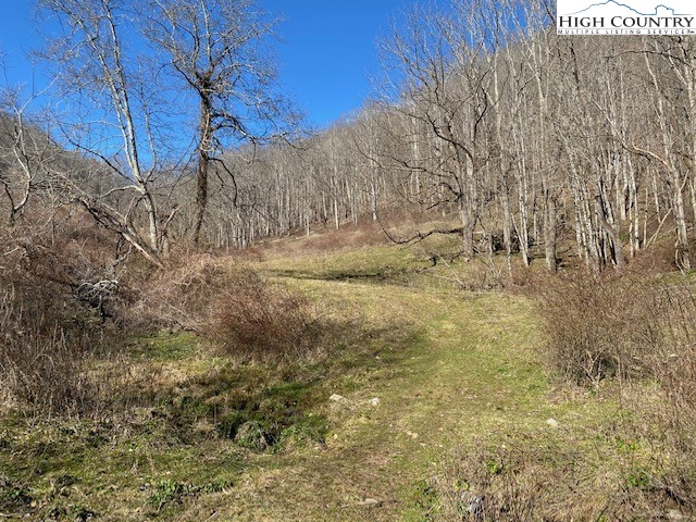 Henson Branch Road Vilas, NC 28692 - Photo 14 of 37 Gallery Image 14