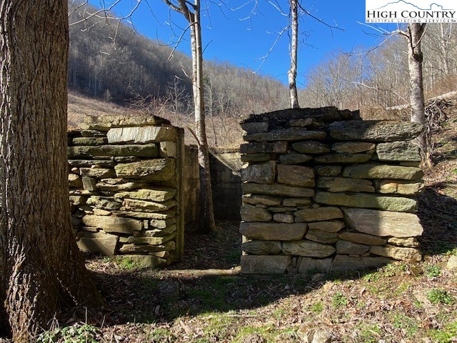 Henson Branch Road Vilas, NC 28692 - Photo 16 of 37 Gallery Image 16