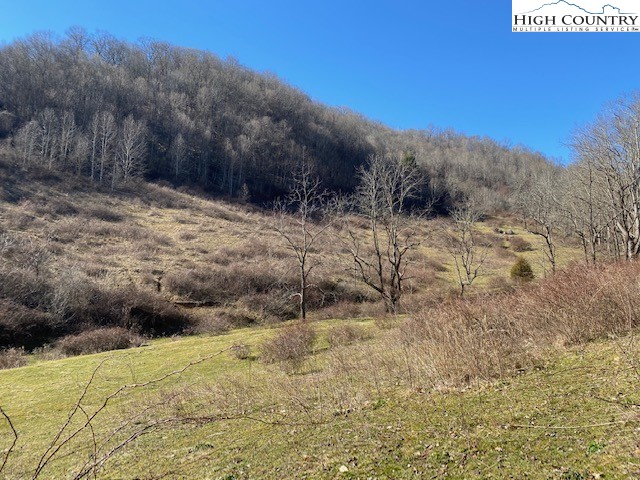 Henson Branch Road Vilas, NC 28692 - Photo 18 of 37 Gallery Image 18