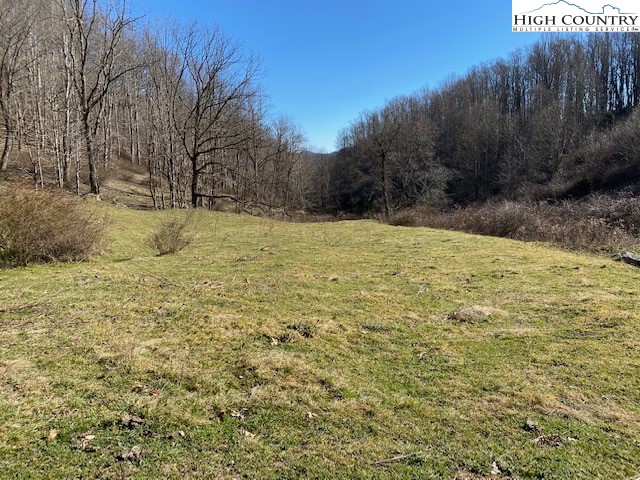 Henson Branch Road Vilas, NC 28692 - Photo 19 of 37 Gallery Image 19