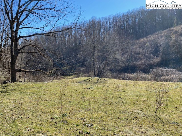 Henson Branch Road Vilas, NC 28692 - Photo 20 of 37 Gallery Image 20