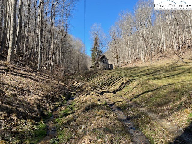 Henson Branch Road Vilas, NC 28692 - Photo 2 of 37 Gallery Image 2