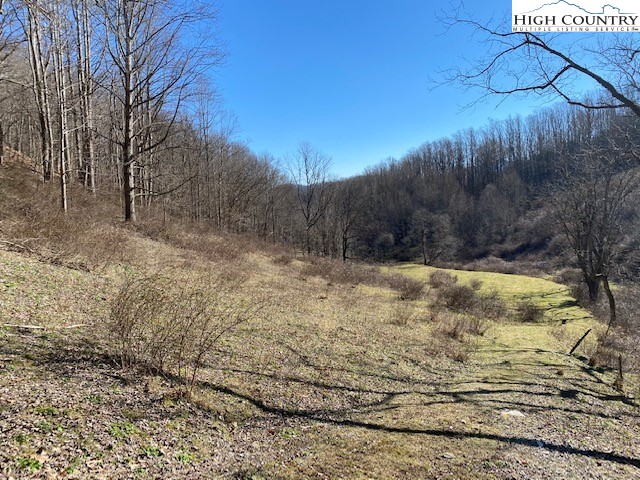 Henson Branch Road Vilas, NC 28692 - Photo 21 of 37 Gallery Image 21