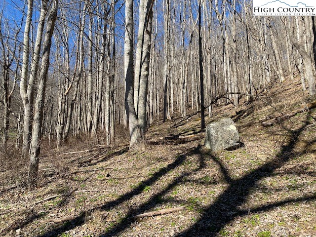 Henson Branch Road Vilas, NC 28692 - Photo 22 of 37 Gallery Image 22