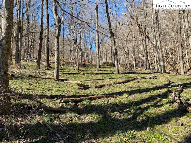 Henson Branch Road Vilas, NC 28692 - Photo 23 of 37 Gallery Image 23