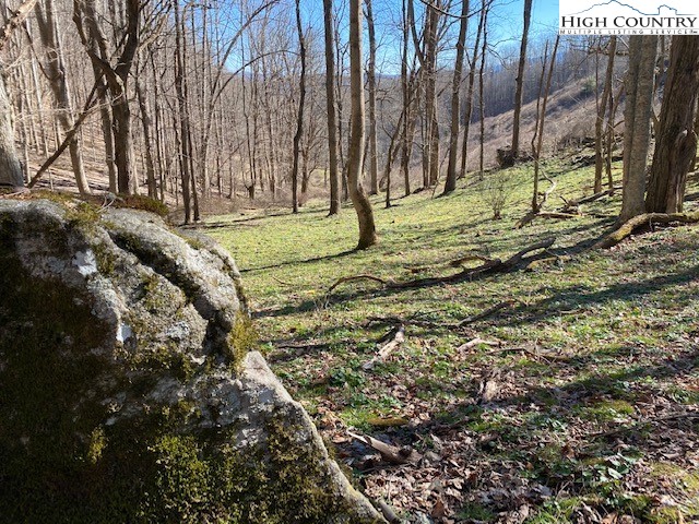 Henson Branch Road Vilas, NC 28692 - Photo 24 of 37 Gallery Image 24