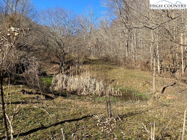 Henson Branch Road Vilas, NC 28692 - Photo 26 of 37 Gallery Image 26