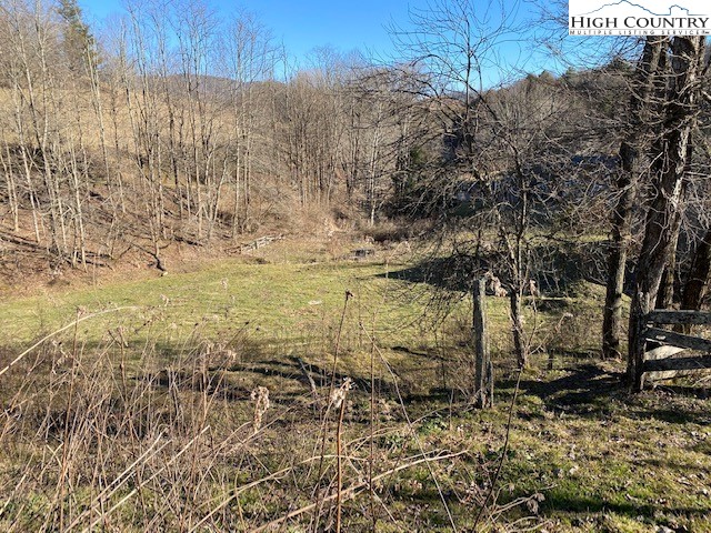 Henson Branch Road Vilas, NC 28692 - Photo 31 of 37 Gallery Image 31