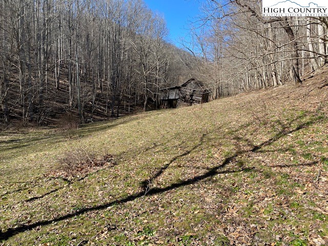 Henson Branch Road Vilas, NC 28692 - Photo 5 of 37 Gallery Image 5