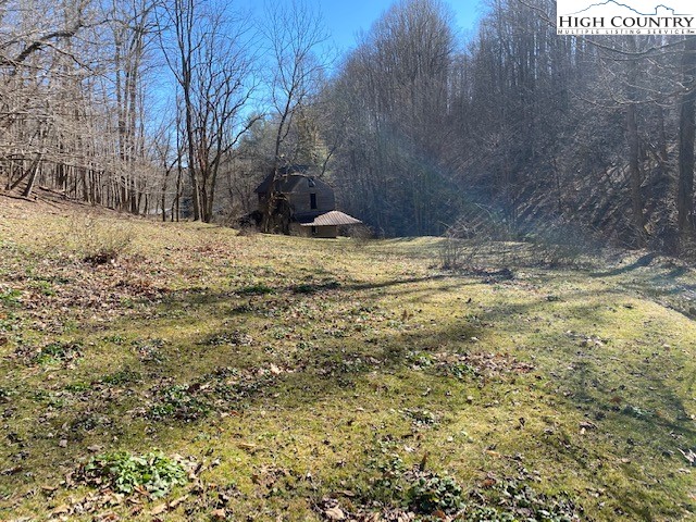 Henson Branch Road Vilas, NC 28692 - Photo 8 of 37 Gallery Image 8