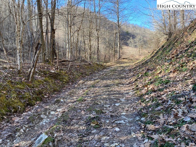 Henson Branch Road Vilas, NC 28692 - Photo 10 of 37 Gallery Image 10