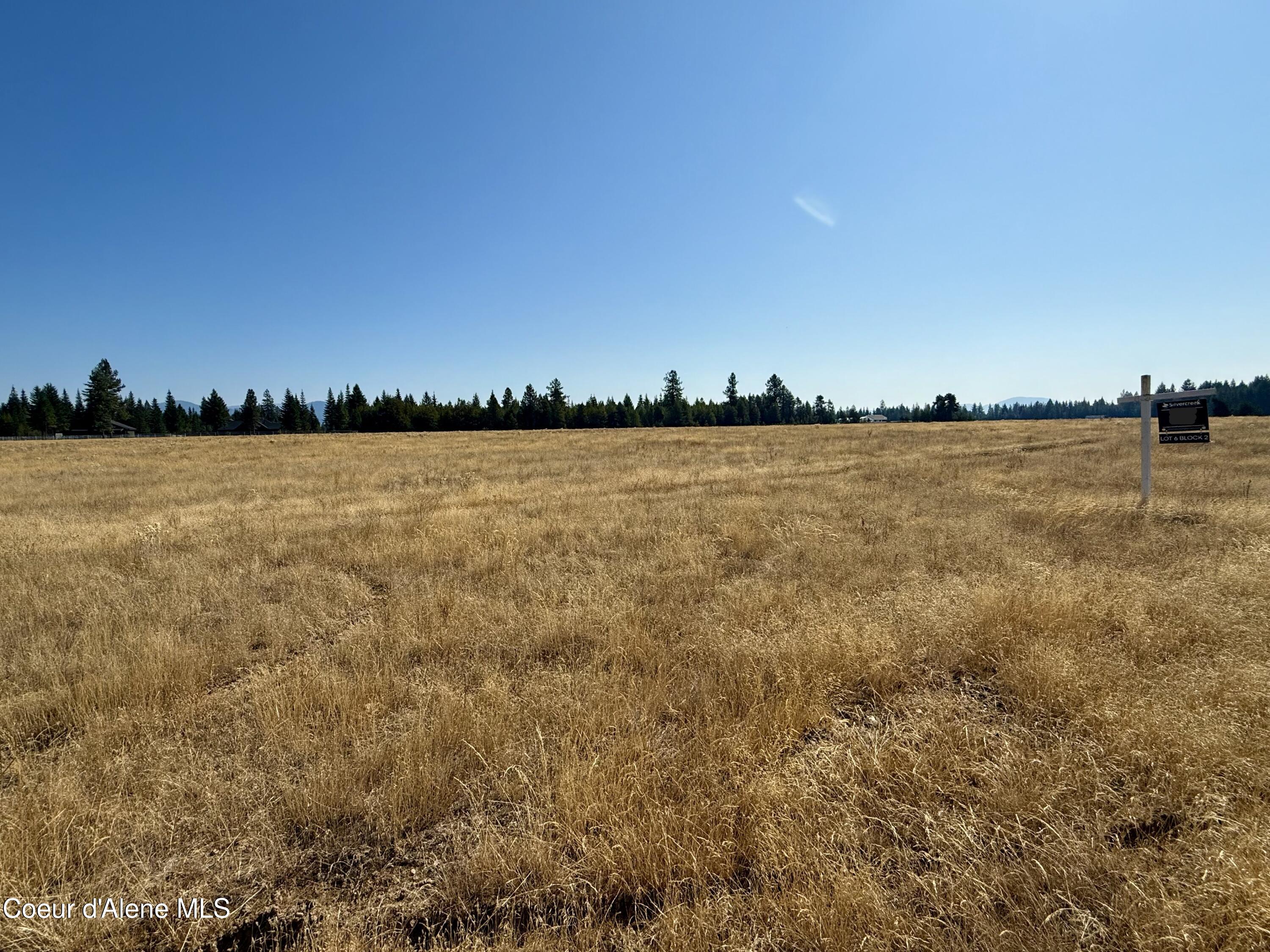Nka North Stonemason Way Rathdrum, ID 83858 - Photo 4 of 6 Looking across the property