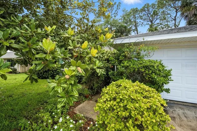 a view of a garden with plants