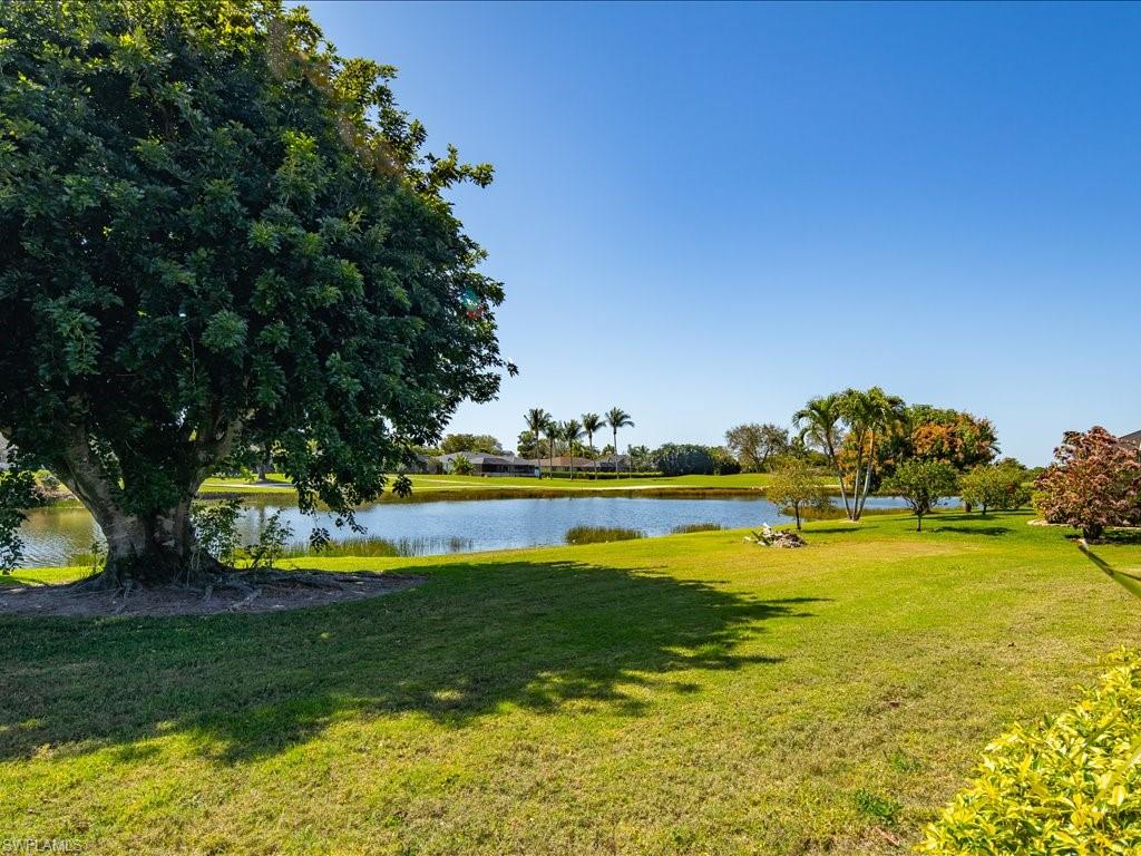 262 Torrey Pines Point Naples, FL 34113 - Photo 2 of 24 a view of an ocean swimming pool and trees