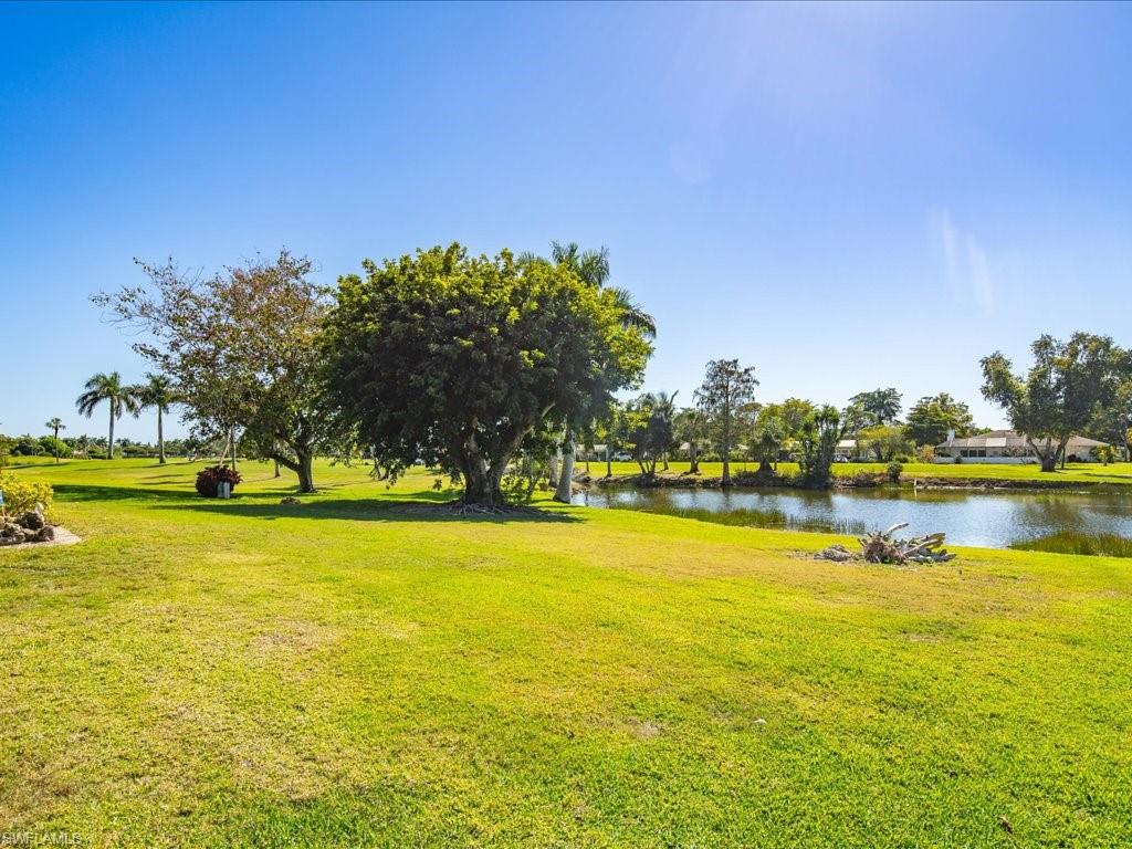 262 Torrey Pines Point Naples, FL 34113 - Photo 24 of 24 a view of an ocean view