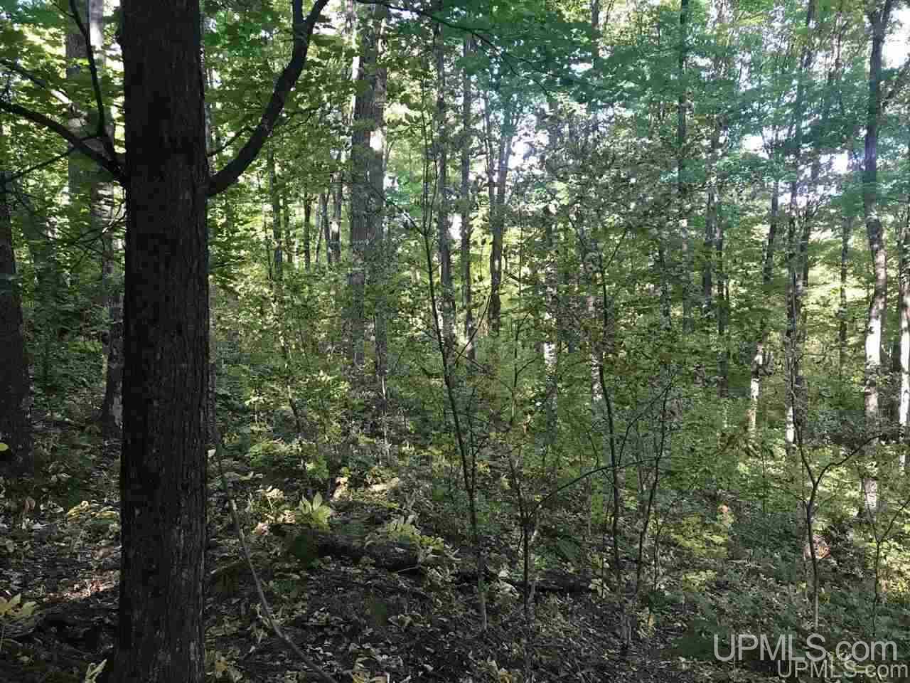 Tbd Ford River Road Arnold, MI 49831 - Photo 14 of 22