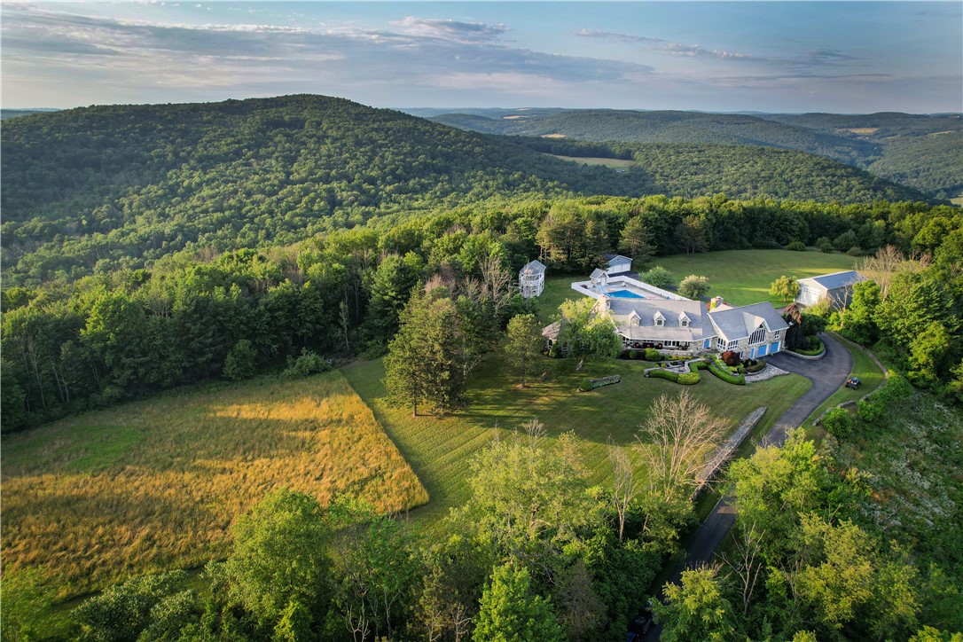 275 Neason Road Chemung, NY 14825 - Photo 4 of 50