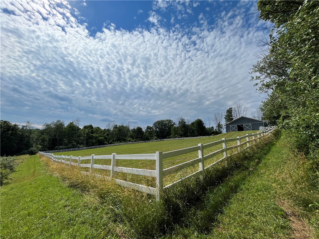 275 Neason Road Chemung, NY 14825 - Photo 41 of 50