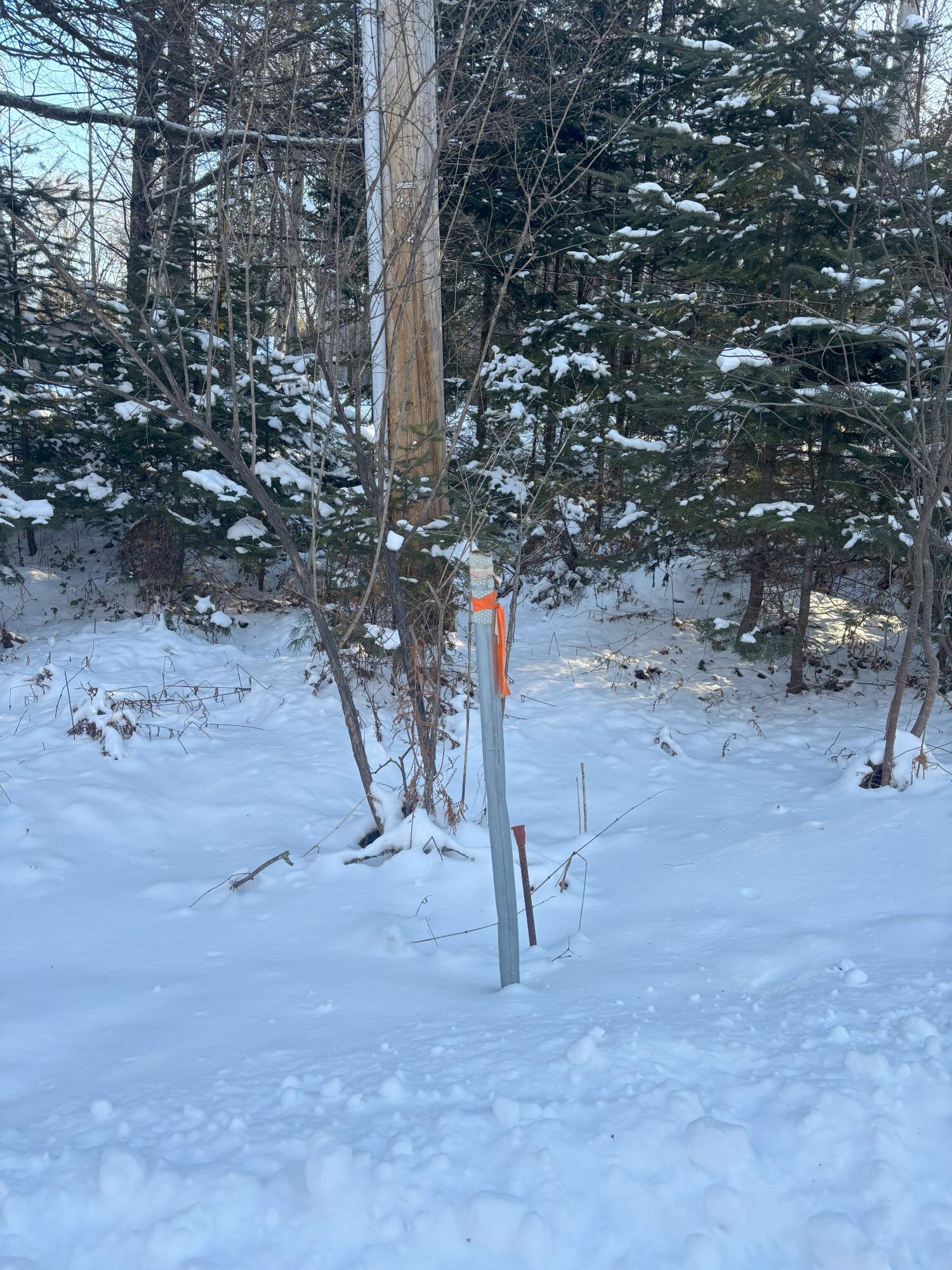 Tbd Tbd Jamie Road Newport, ME 04953 - Photo 5 of 14 5
